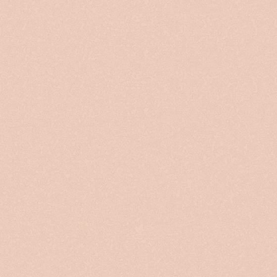 Holland Cote Art Coatings in Earth Color for Elegant Interiors