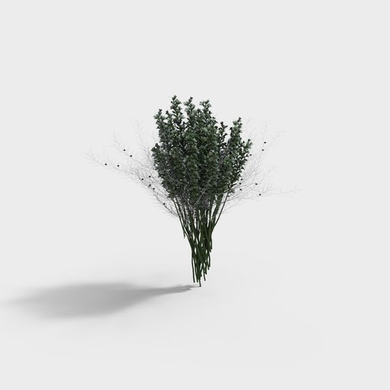 Winter Greenery Low-Poly 3D model