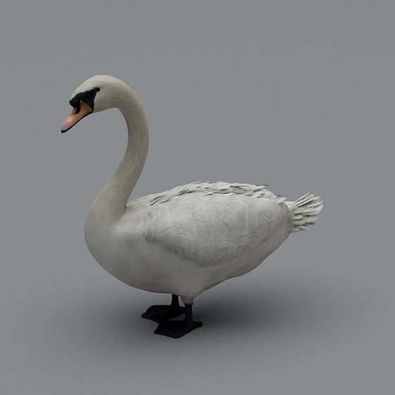 Animal 3D Model for Character Design