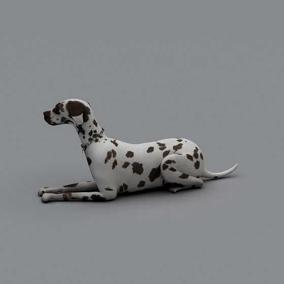 Realistic Dalmation Dog 3D model