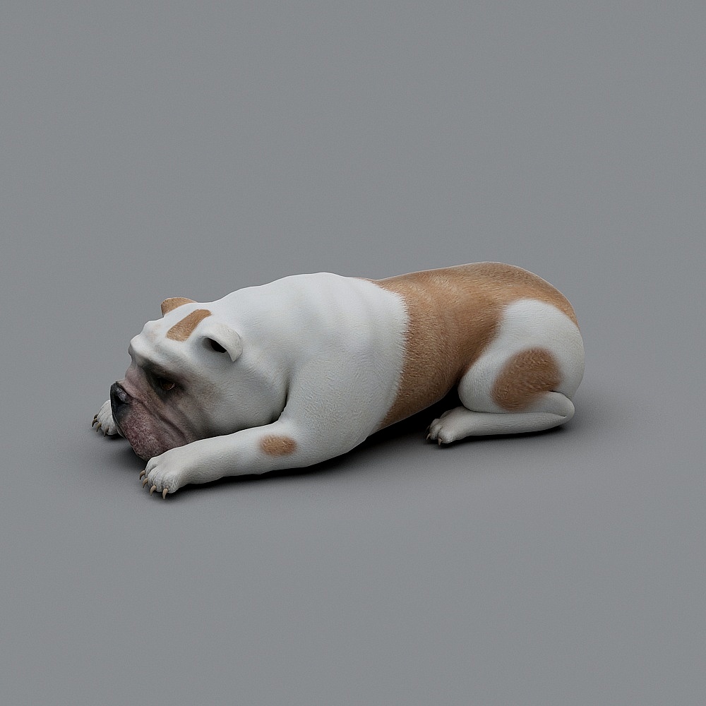 Adorable Bull Terrier 3D model