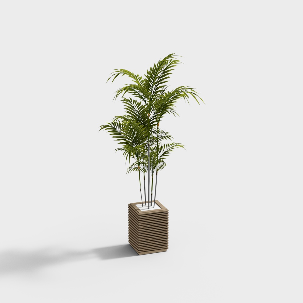 Piante in vaso verdi moderne