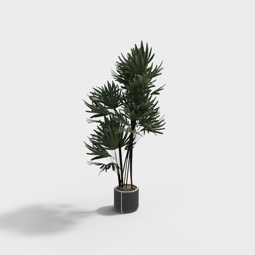 Green leaf potted plants-wx