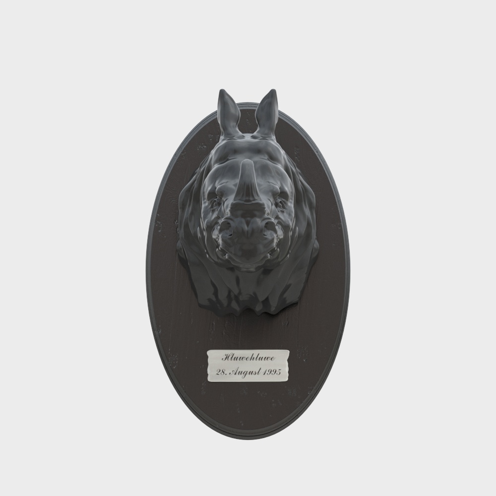 Realistic Rhino Portrait 3D Model