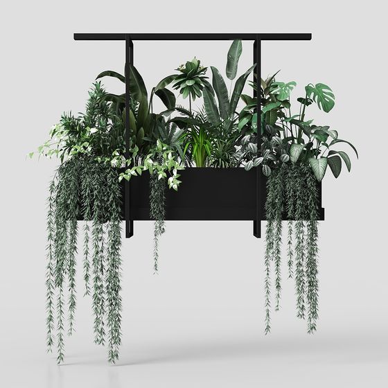 Modern Bracketplant,Bracketplant,green
