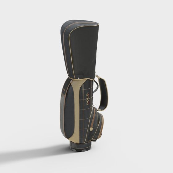 현대 골프 가방