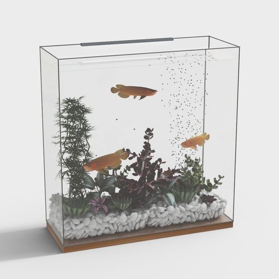 Vibrant Aquarium 3D Model