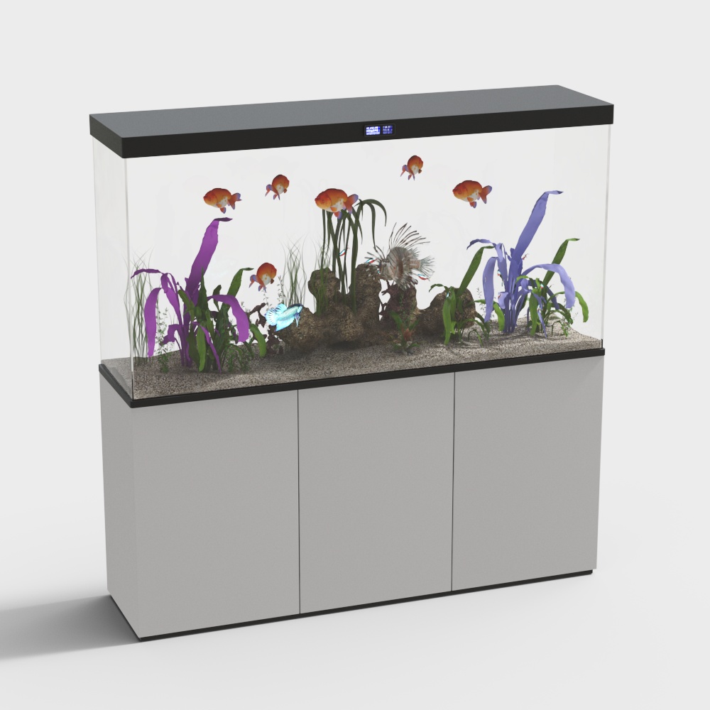 Modern glass fish tank