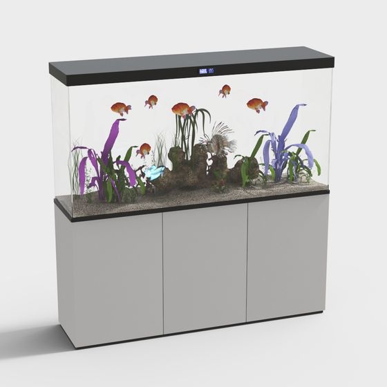 Enchanting Underwater Aquarium 3D model