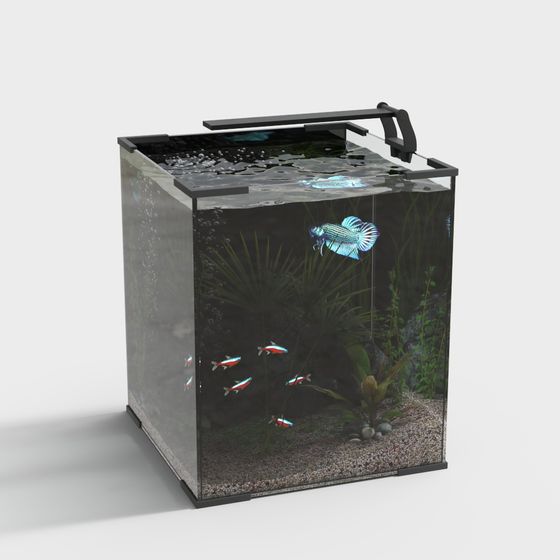Low-Poly Aquarium 3D Model for Creative Projects