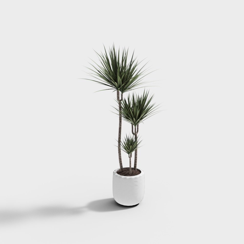 Low Poly Indoor Plant 3D model
