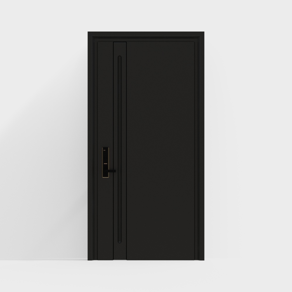 Modern pure black security doors