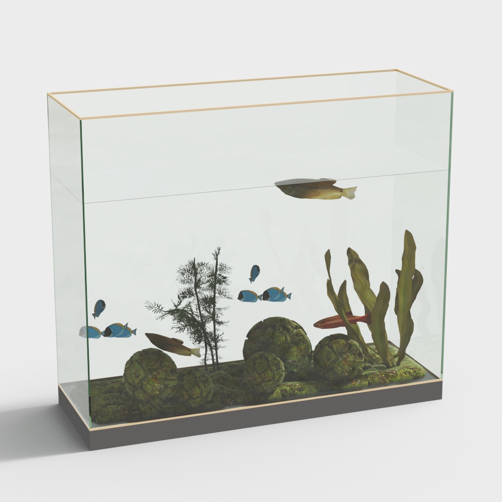 Hộp cá thủy tinh trong suốt