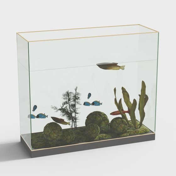Hộp cá thủy tinh trong suốt