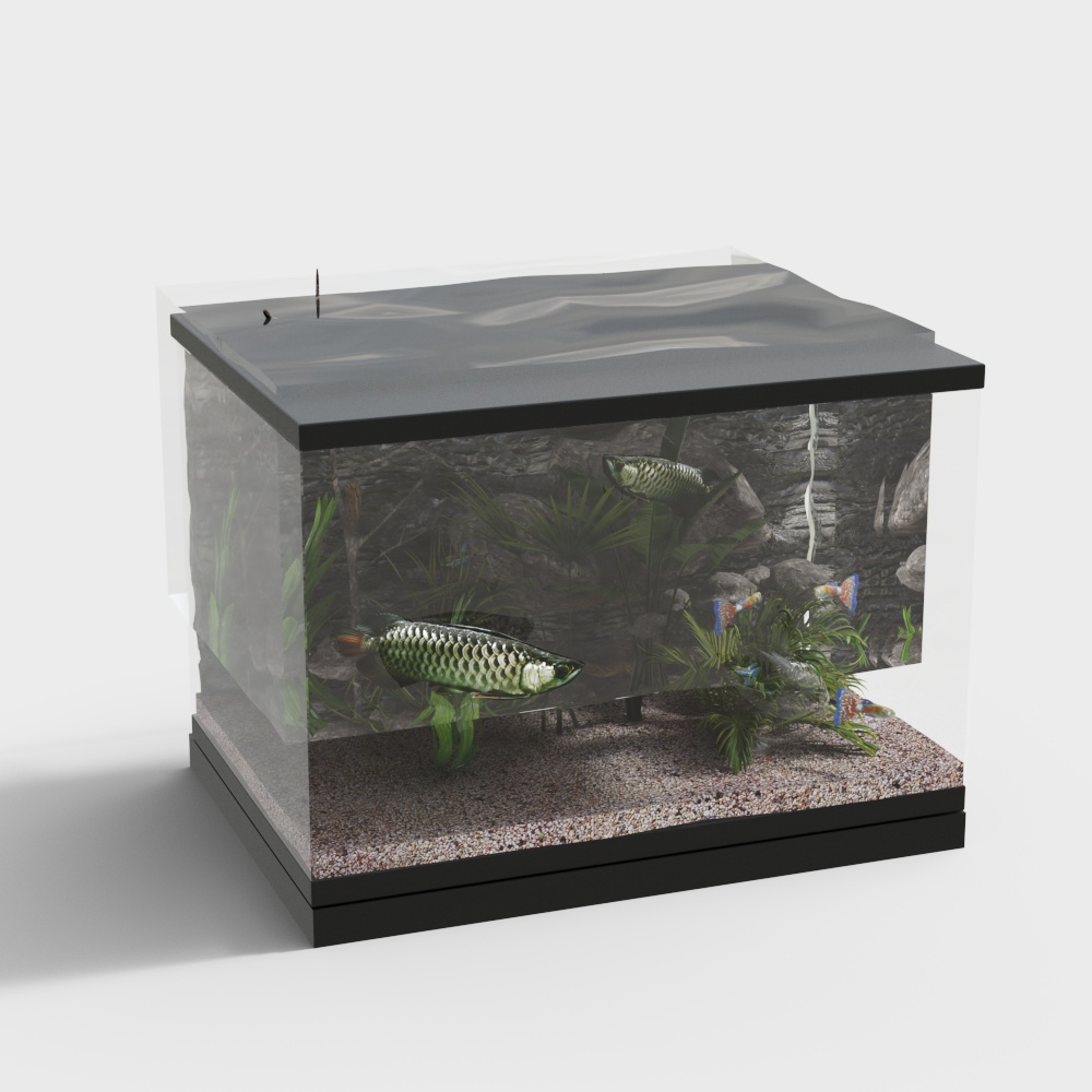Modern square fish tank