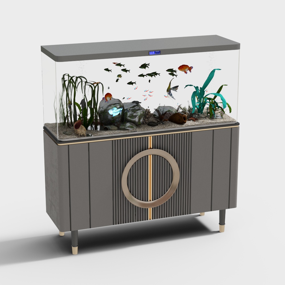 Modern fish tank aquarium