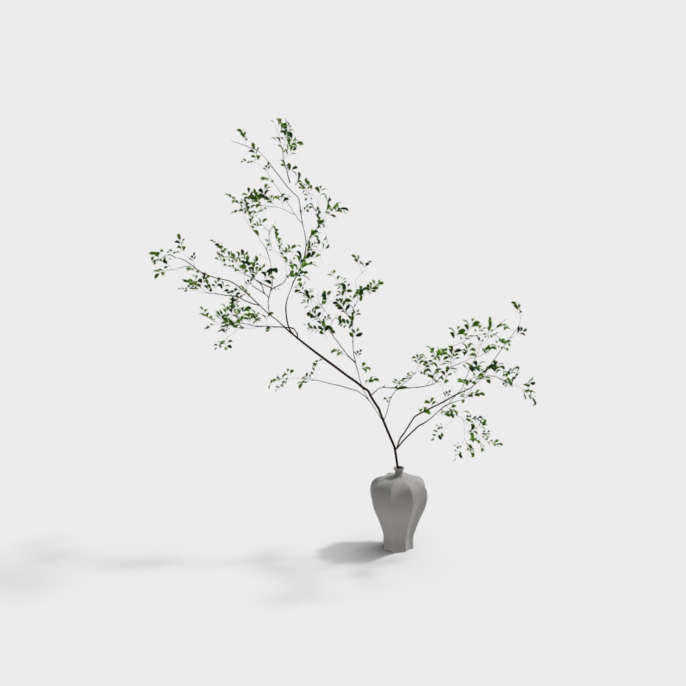 Vase green plants-wx