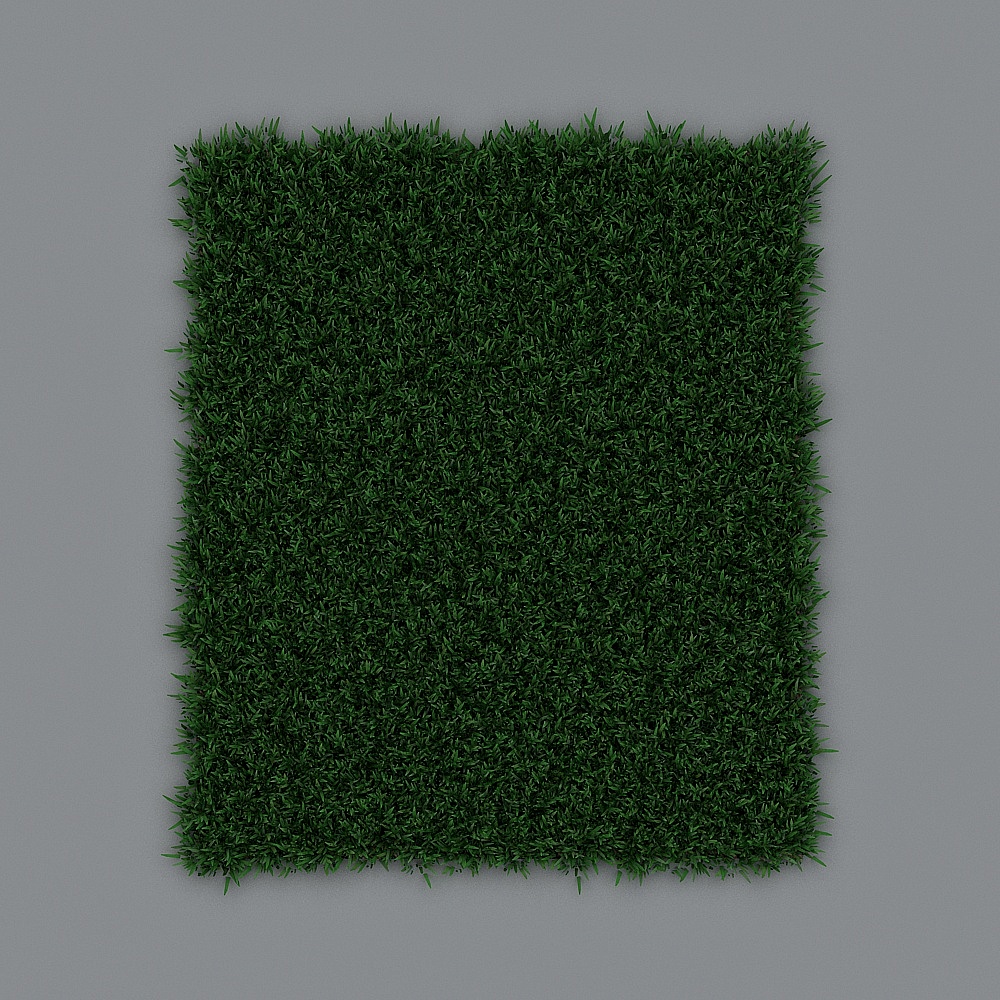 Grass+by+Sonti+W. (1)
