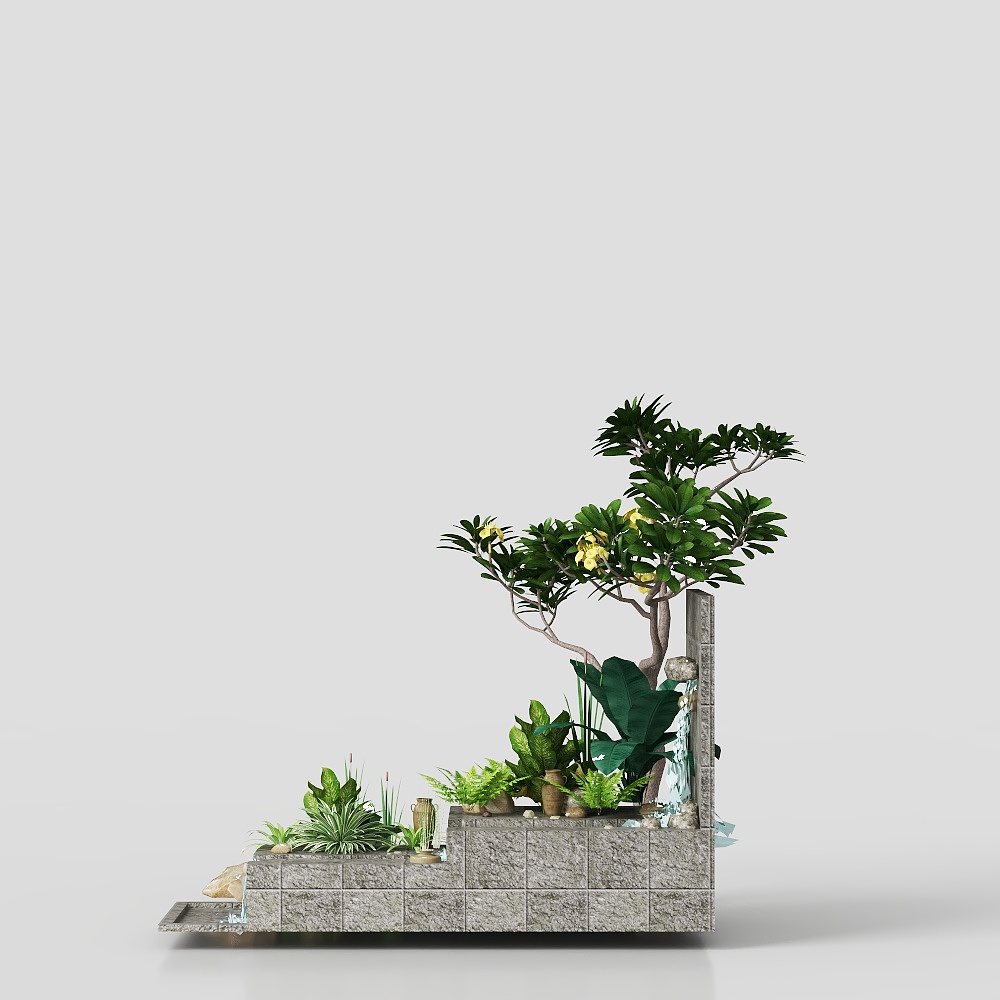 Bonsai