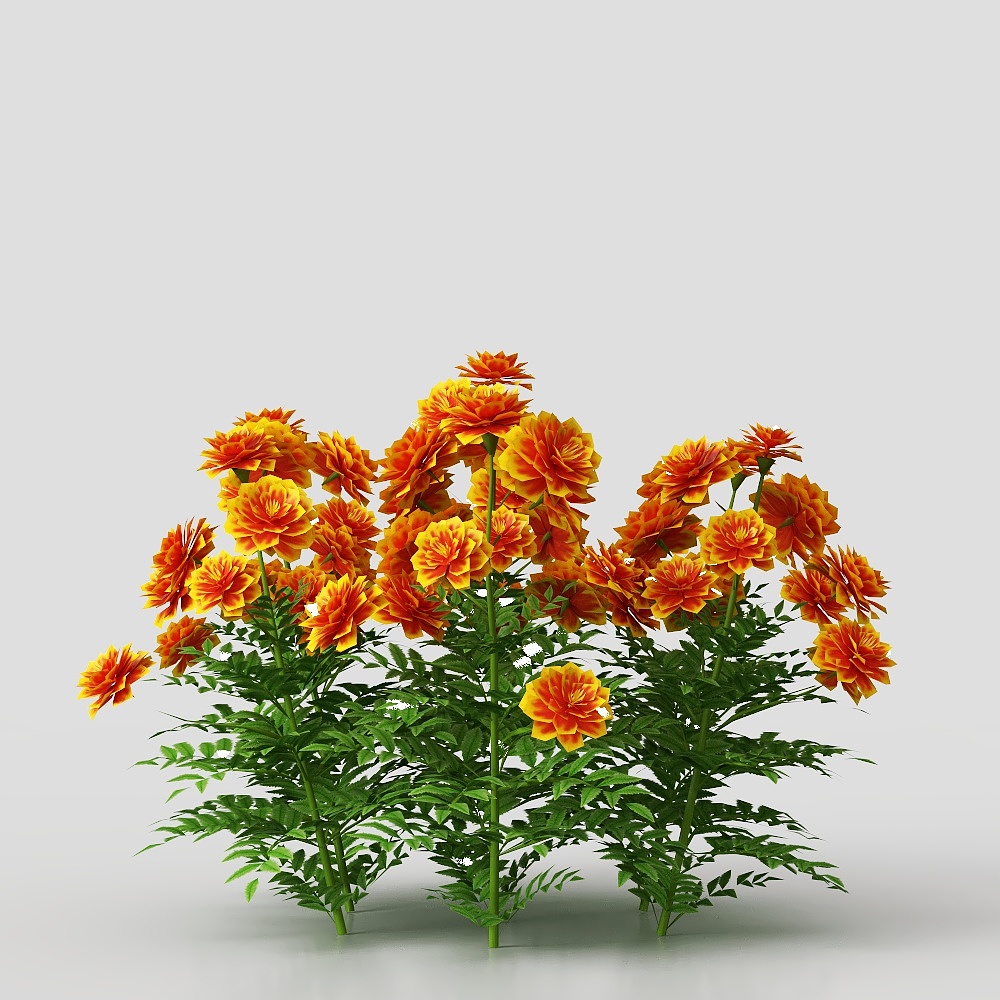 Vibrant Sunflower Cluster 3D model