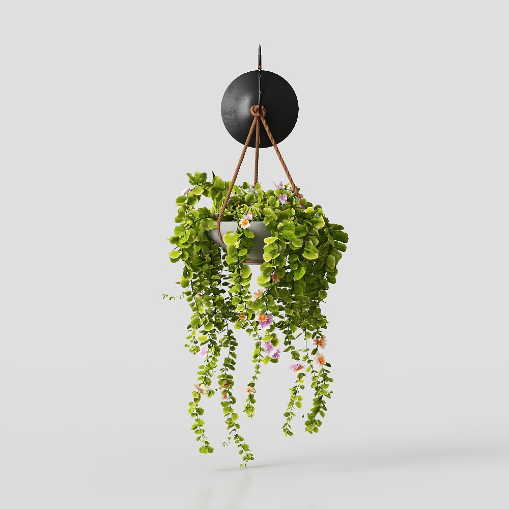 Hanging basket