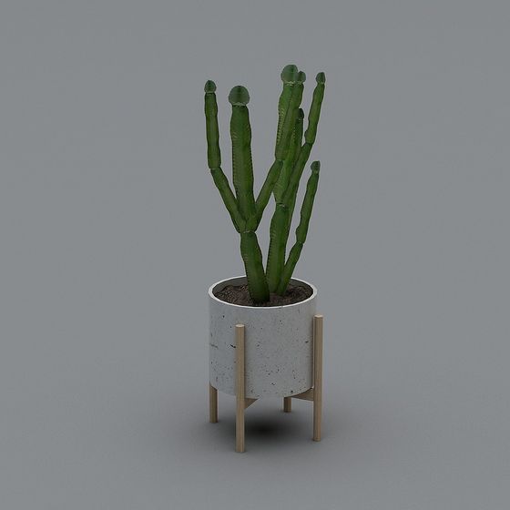 Urban Green Plant 3D model for Modern Designs