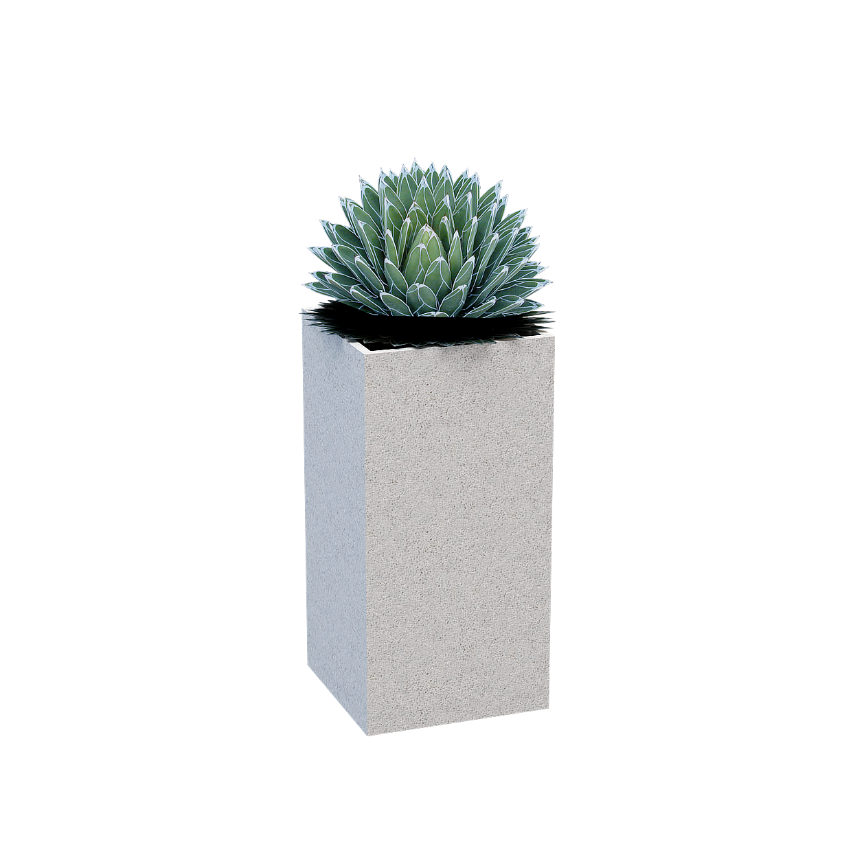 Realistic Concrete Planter 3D Model – Low-Poly Succulent Design