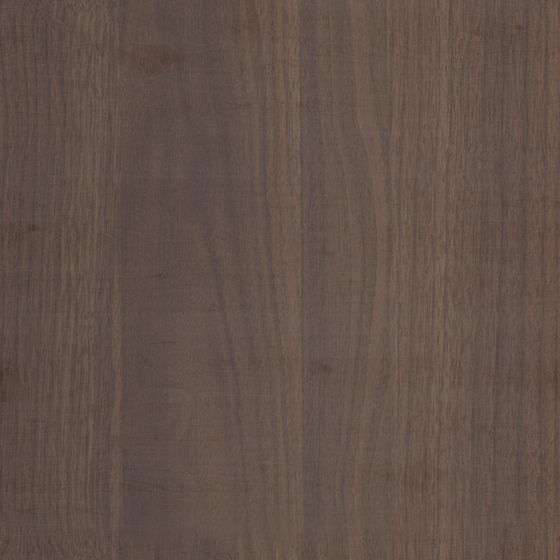 Walnut Wood 3D Model in Beige Pattern