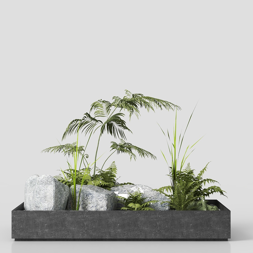 Rectangular dark grey planter with ferns and rocks on white background