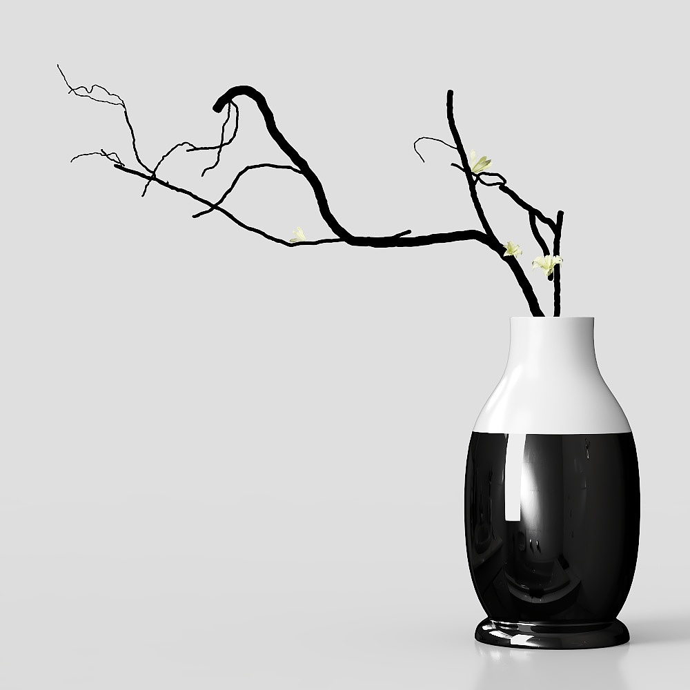 Fleurs séchées et vases