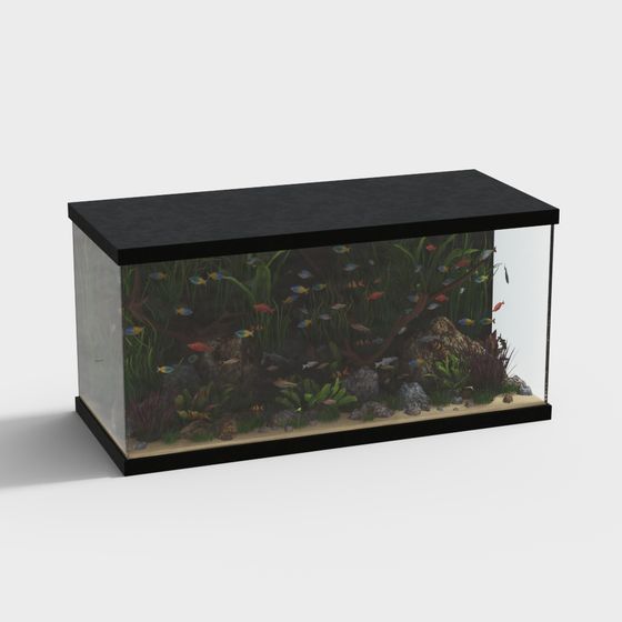 Vibrant Aquatic 3D Model of an Underwater World