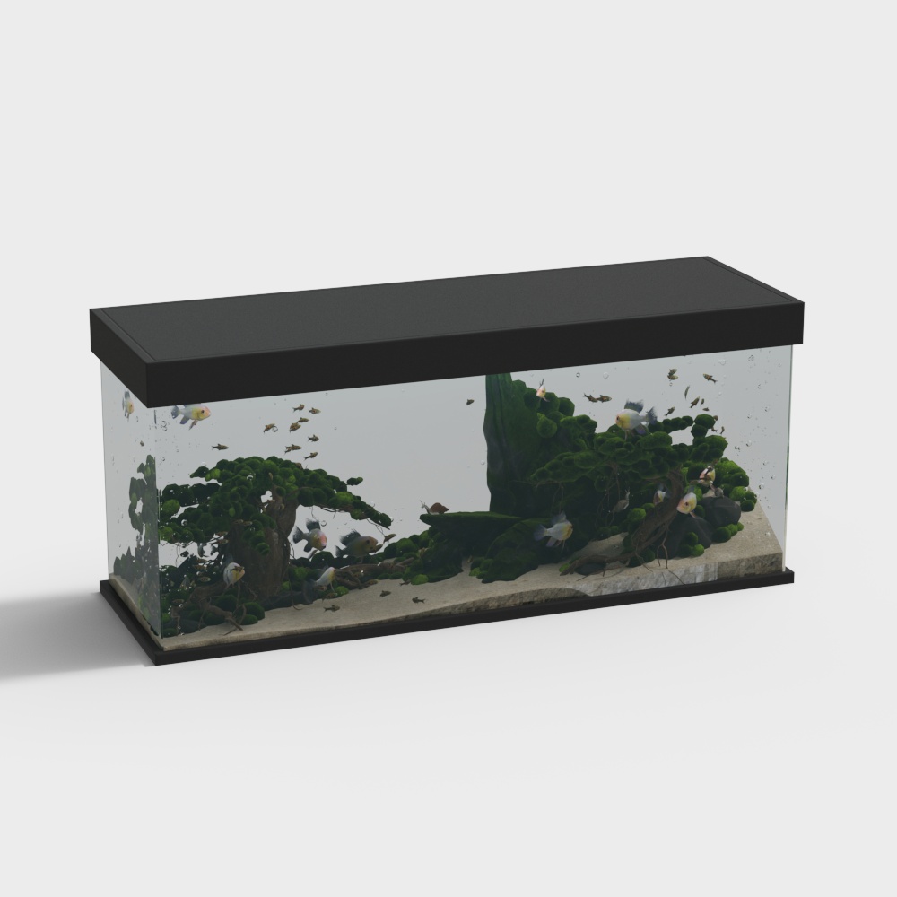 fish tank