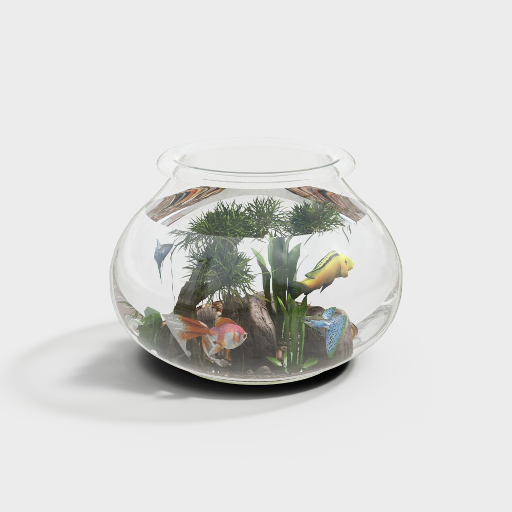 Modern glass fish tank