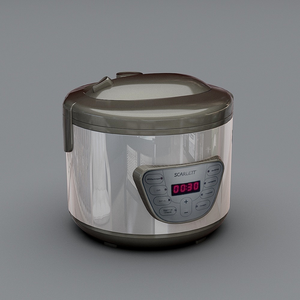 Pressure cooker autoclave
