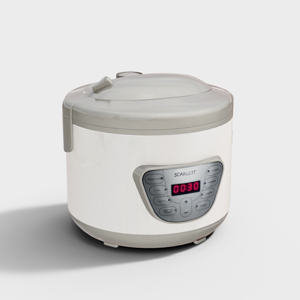 Rice cooker