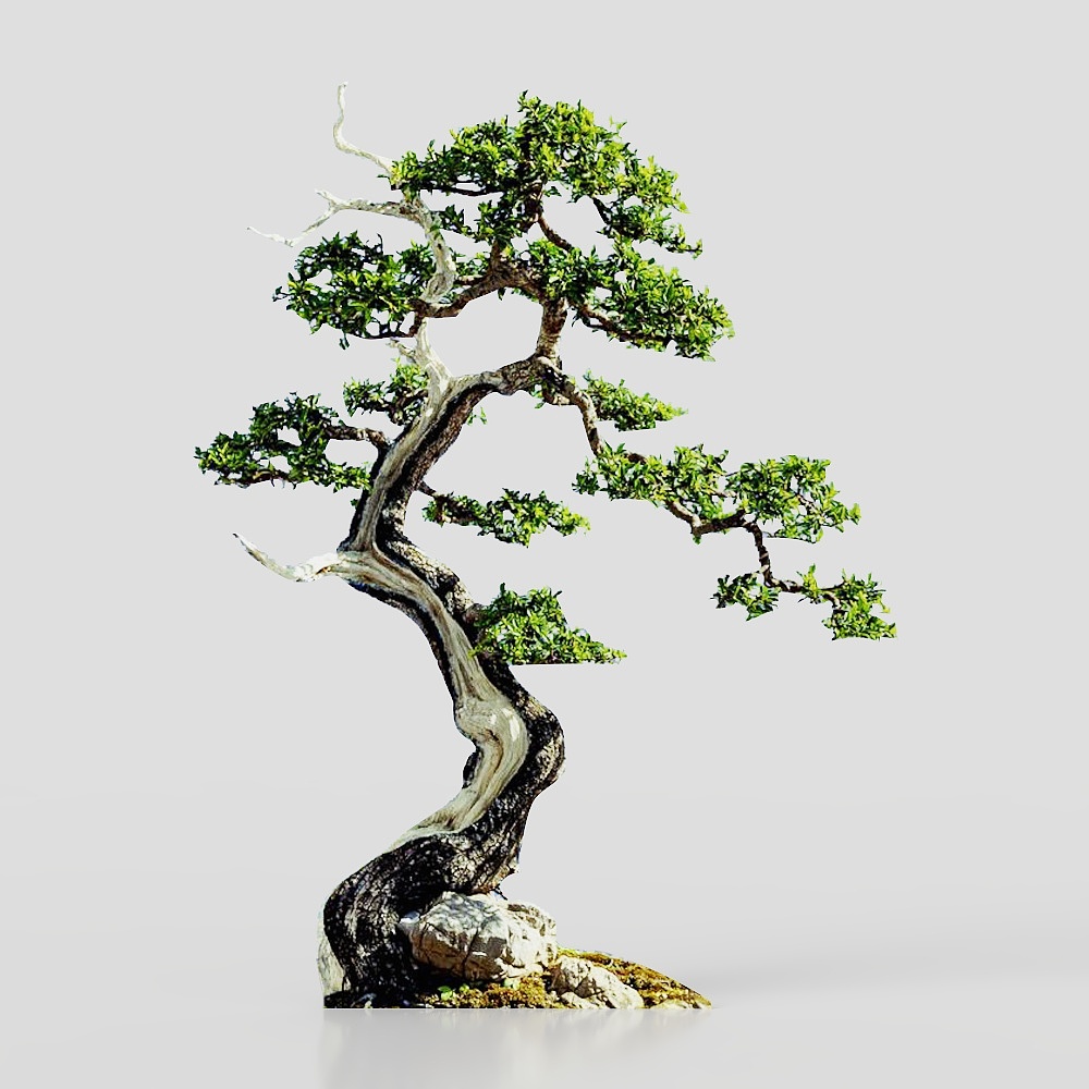 Ancient Tree 3D model for Creative Projects