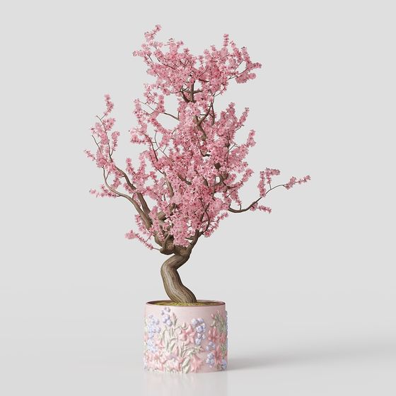 Sakura Bonsai 3D model for Spring Decor