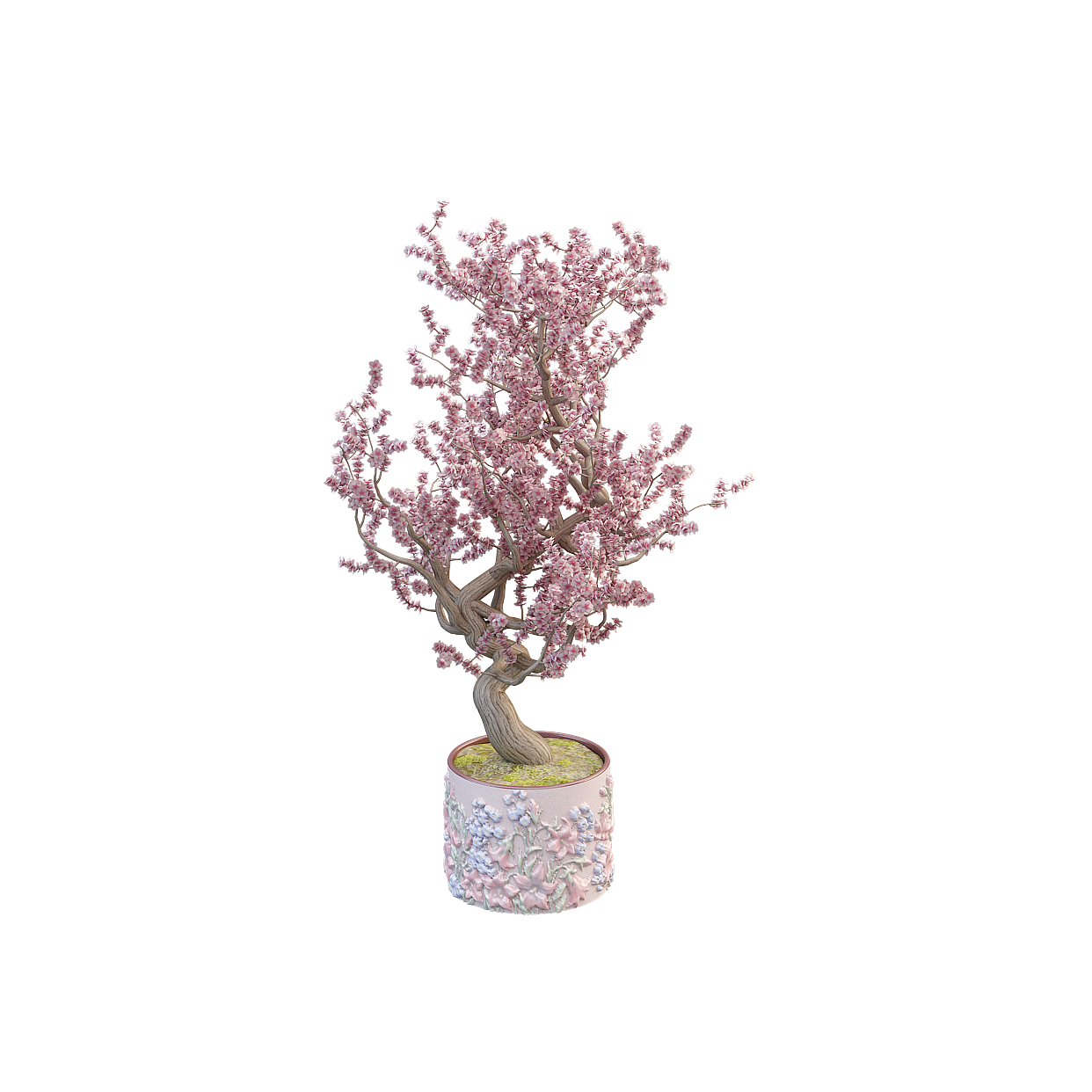Sakura Bonsai 3D Model – Detailed Cherry Blossom Decor