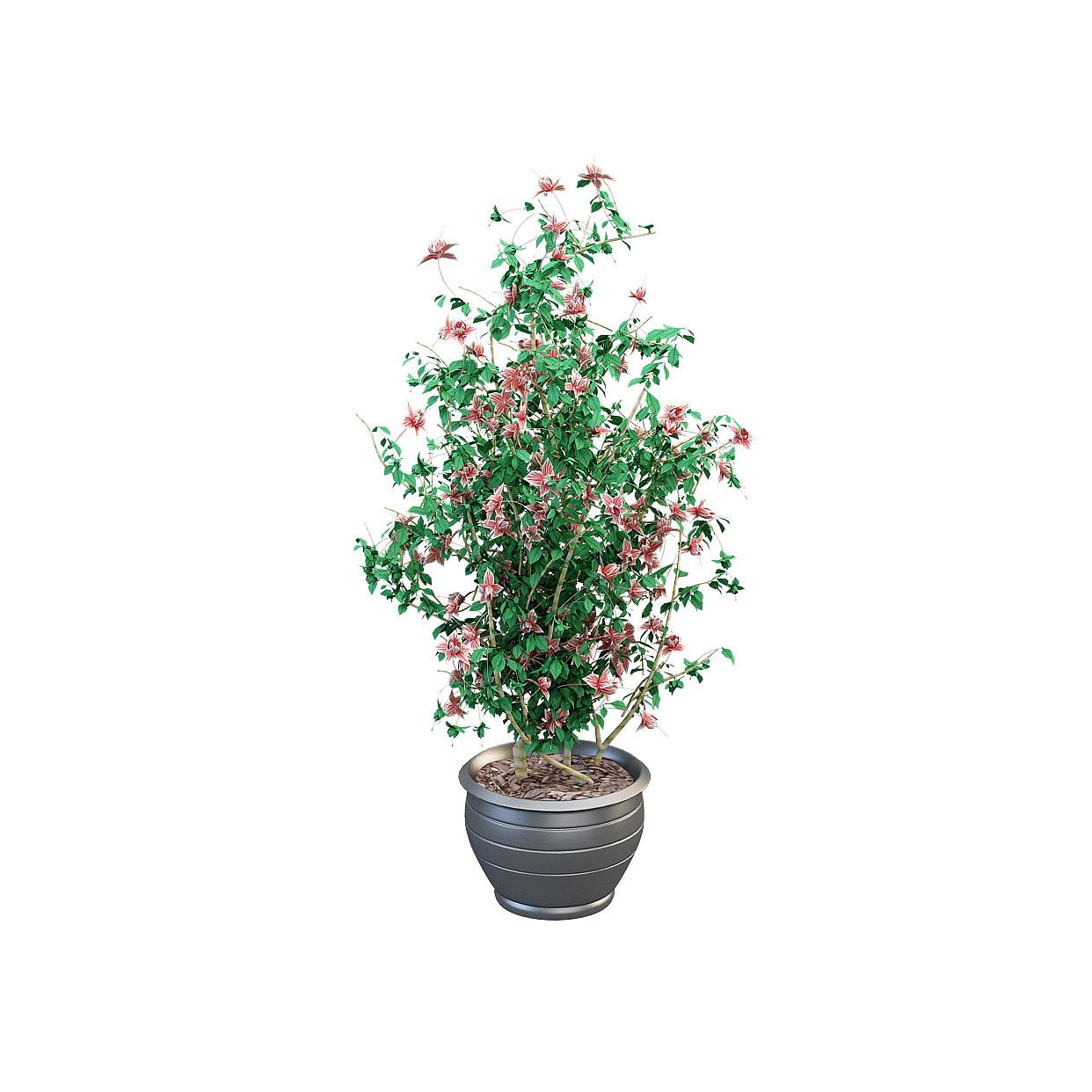 Climbing Vine Planter 3D Model – Lush Low-Poly Foliage