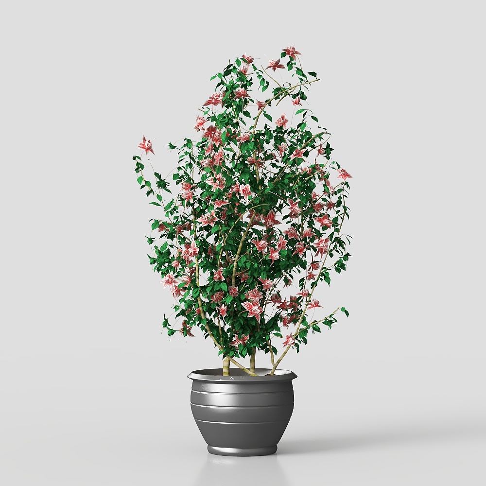Climbing Vine Planter 3D model