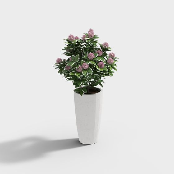 Floral Harmony 3D model