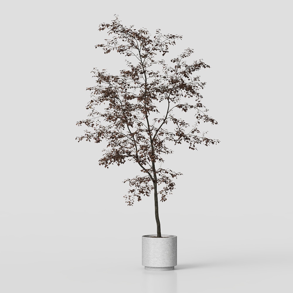 Urban Oasis 3D model