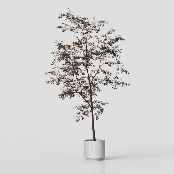 Urban Oasis 3D model