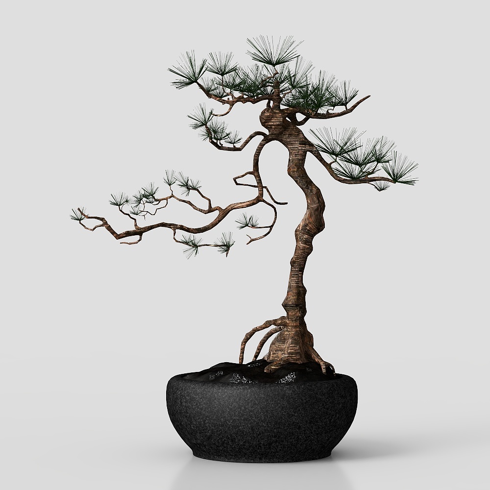 Bonsai