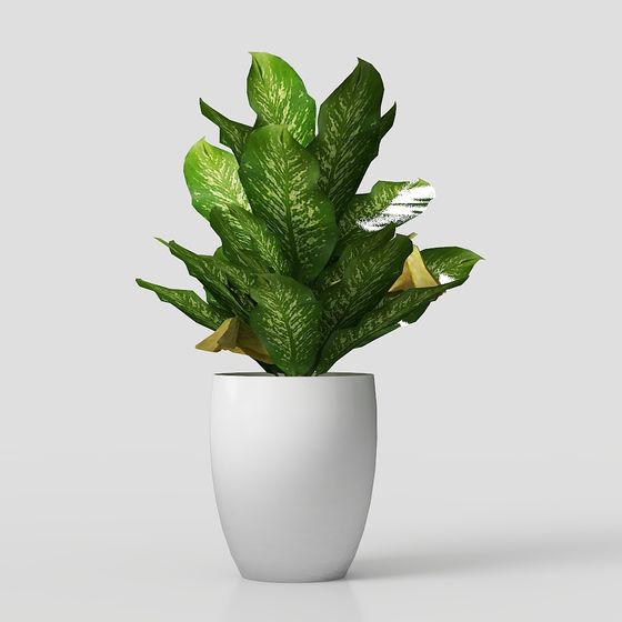 Indoor Green Plant Pot 3D model