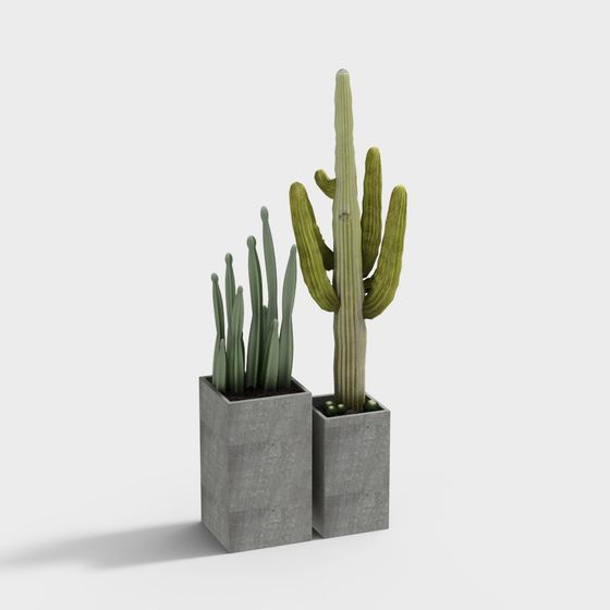 Realistic Cactus 3D Model for Creative Projects