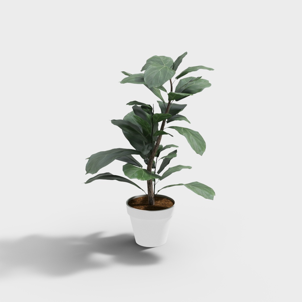 ต้นไม้ใบหยิกปลอมในกระถาง