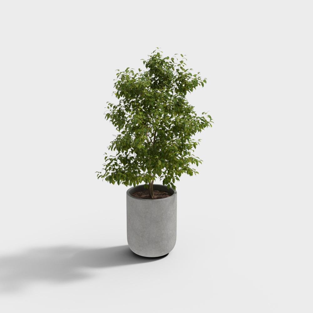 Lush Indoor Potted Plant 3D Model – Green Leaves & Concrete Pot