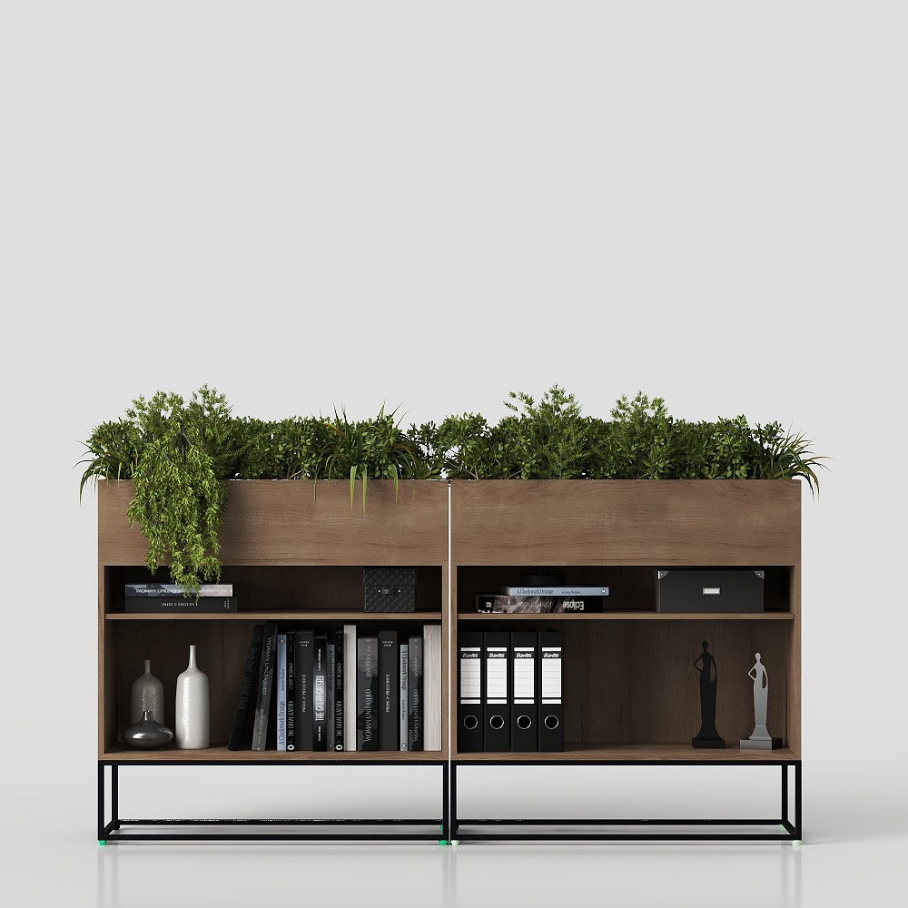 ต้นไม้กระถางสำหรับชั้นหนังสือ