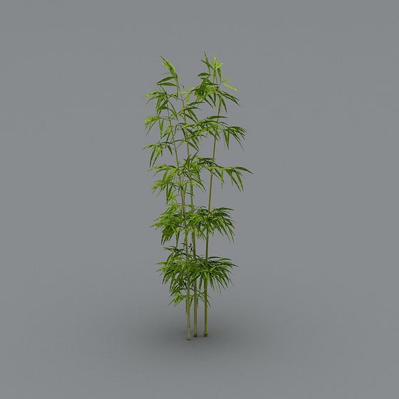 Bamboo Grove Vitality 3D Model